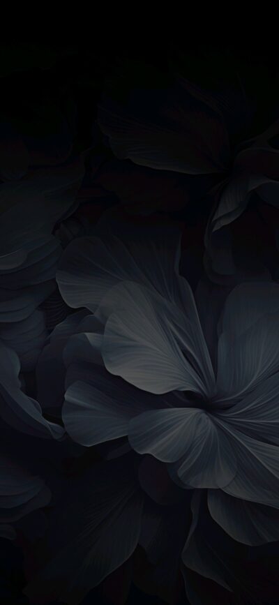 Dark abstract floral wallpaper with layered petals; blends black and gray for a mystical atmosphere | 4K Wallpaper, for Mobile