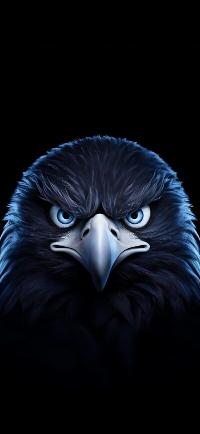 Eagle close-up with piercing blue eyes on dark background | 4K Wallpaper for Mobile | Black & Blue Theme