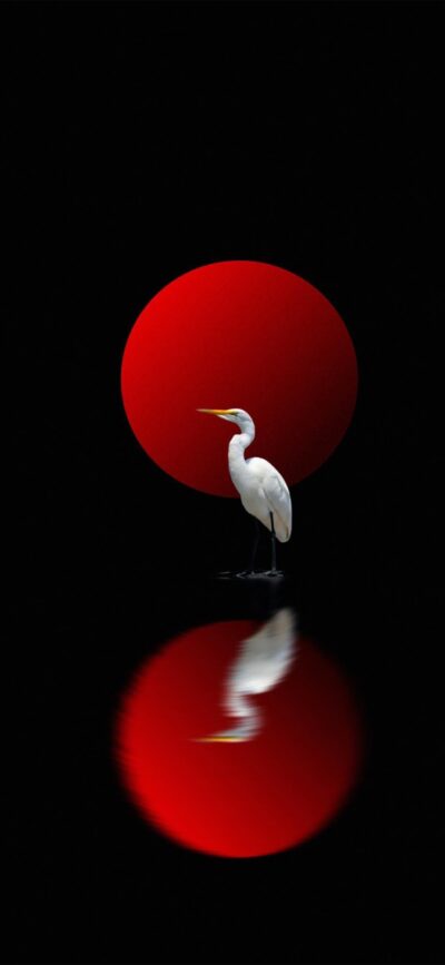 Majestic heron with red circle backdrop and reflection, minimalist design in red, black, and white | 4K Wallpaper, for Mobile