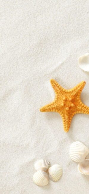 Serene beach scene with starfish and seashells on sand, perfect for a calming coastal vibe | 4K Wallpaper for Mobile