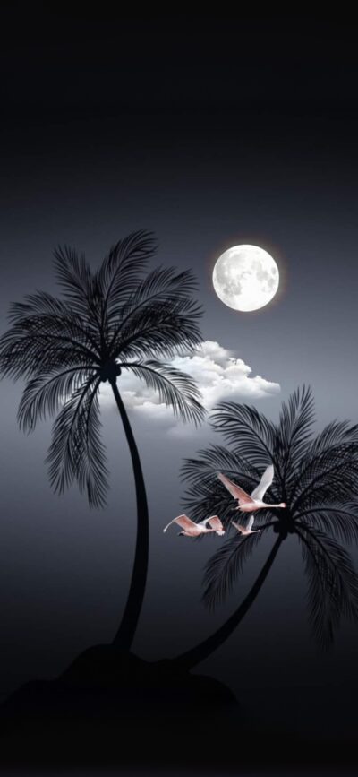 Serene night scene with silhouetted palm trees and flying flamingos under a full moon | 4K Wallpaper, for Mobile