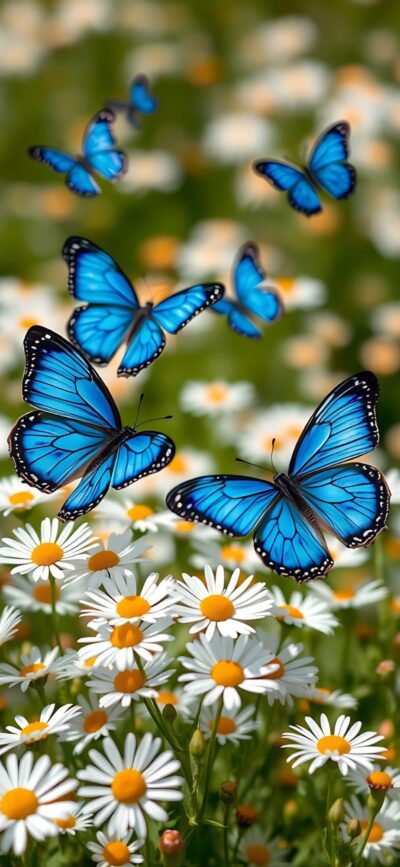 Blue butterflies fluttering over white daisies in a vibrant green field | 4K Wallpaper for Mobile