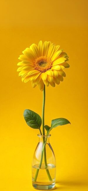 Yellow Gerbera daisy in a glass vase on a vibrant yellow background, perfect for a cheerful display | 4K Wallpaper for Mobile