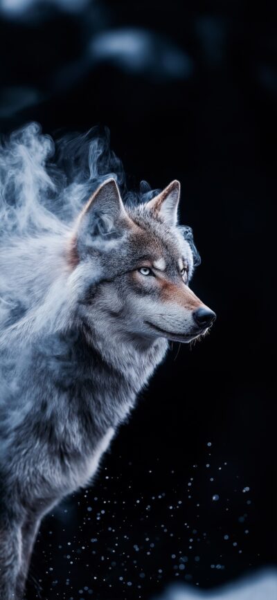 Captivating wolf with intense gaze in a misty, mystical aura; blue, black, gray tones | 4K Wallpaper for Mobile