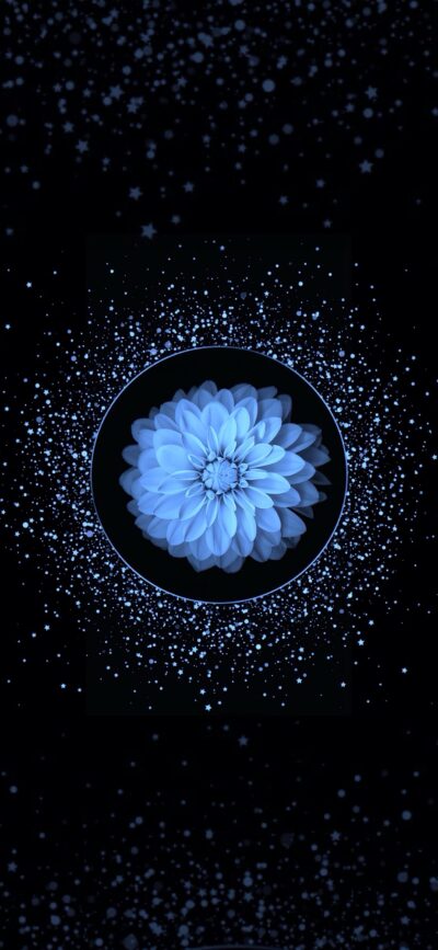 Blue dahlia with layered petals amidst a starry cosmos | 4K Wallpaper for Mobile | Blue, Black | Visit for Flower, Space, Abstract, Dark themes