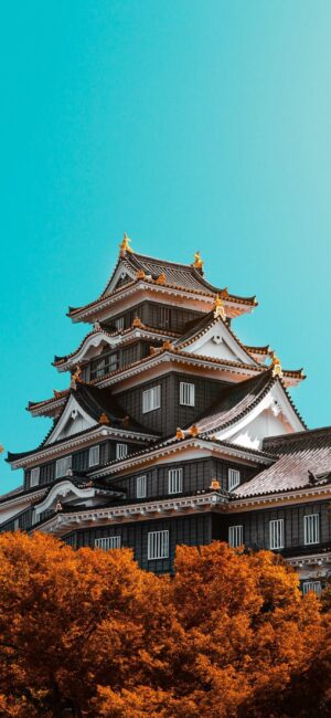 Japanese castle with intricate details, vibrant blue sky, and autumn trees for a nature contrast. | 4K Wallpaper for Mobile