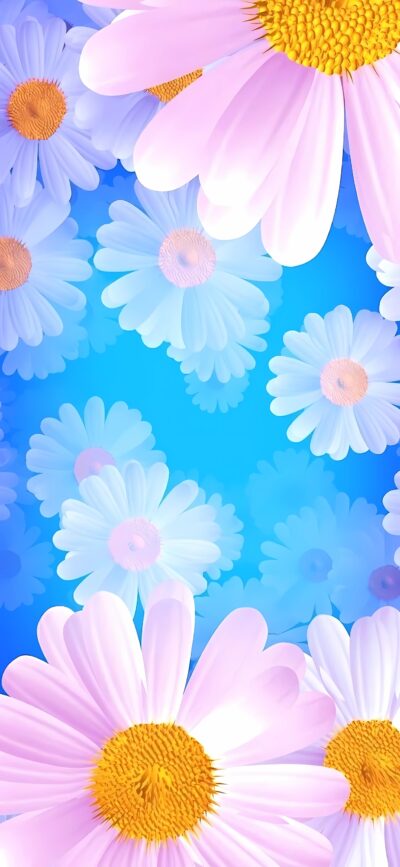 Pink and violet flowers with yellow centers on blue background | Floral & Nature | 4K Wallpaper for Mobile