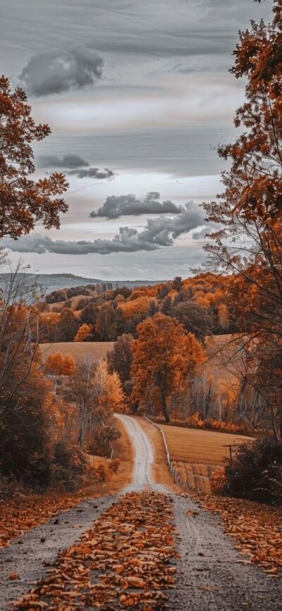 Autumn landscape with orange tree-framed road under an overcast sky | 4K Wallpaper, for Mobile | Gray, Orange, Brown hues.