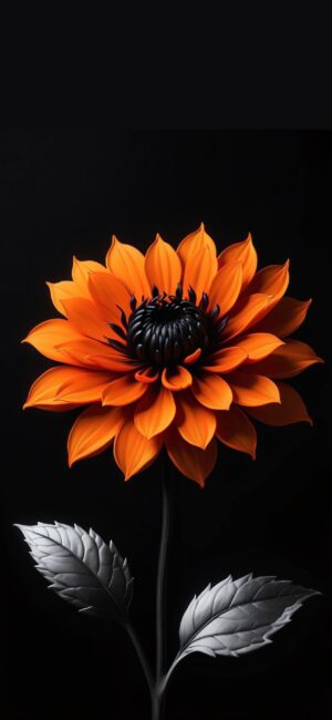 Striking orange sunflower on deep black with silver leaves contrasts | 4K Wallpaper for Mobile