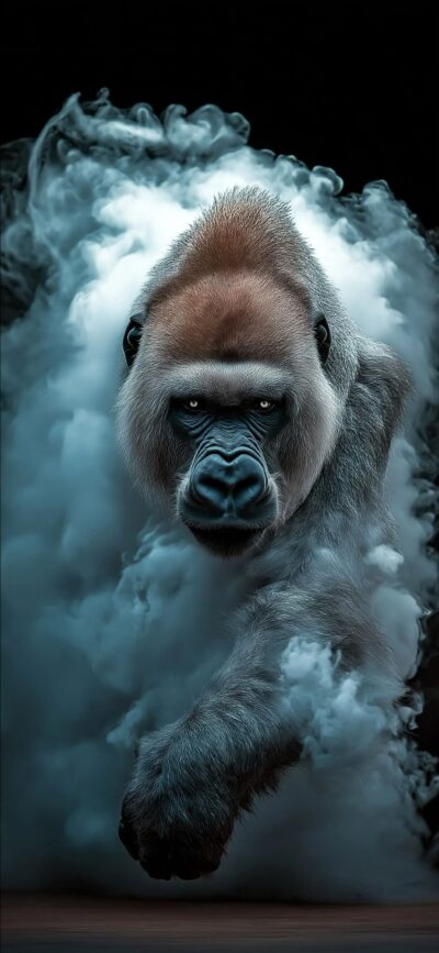 Gorilla in smoky mist, dynamic and intense expression, dramatic scene | Black, Gray, White hues | For Mobile | 4K Wallpaper