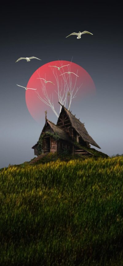 Cottage on a green hill with setting red sun & flying birds | Serene nature scene in 4K | Wallpaper for Mobile | Nature, Landscape, House, Bird