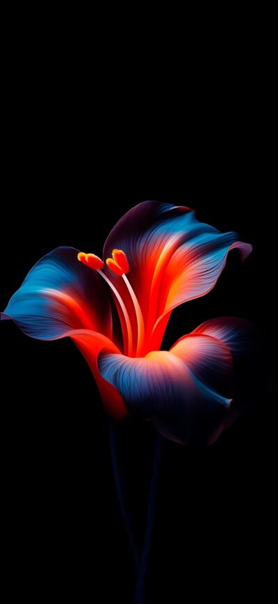 Colorful lily against dark background, vibrant blue and red petals. Striking contrast, illuminated effect | 4K Wallpaper for Mobile