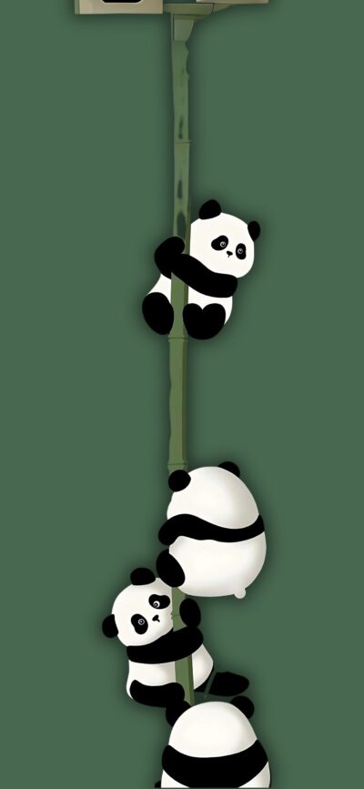 Cute cartoon pandas climbing bamboo on green background | 4K Wallpaper for Mobile