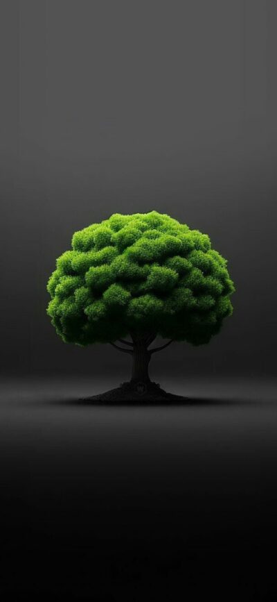 Lush green tree on a dark backdrop creates a vivid contrast, highlighting its beauty | 4K Wallpaper for Mobile