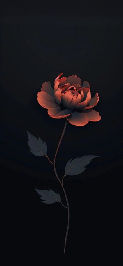 Peony flower with glowing petals on dark background, highlighting delicate details for an elegant aesthetic. | 4K Wallpaper, for Mobile