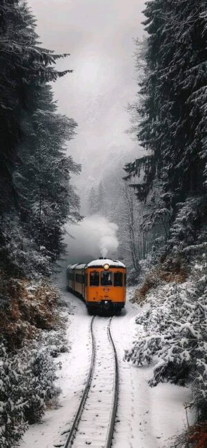 Orange train through snowy forest | 4K Wallpaper for Mobile | Bright orange, white, and green hues create a serene winter scene.