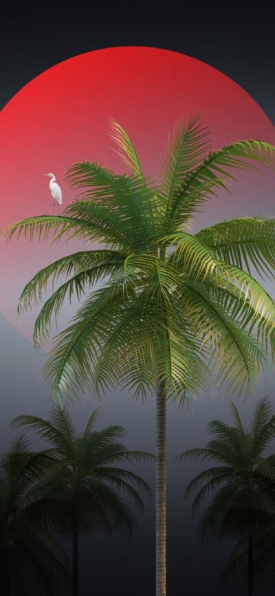 Tropical palm tree with a white bird against a red-black gradient background | 4K Wallpaper for Mobile