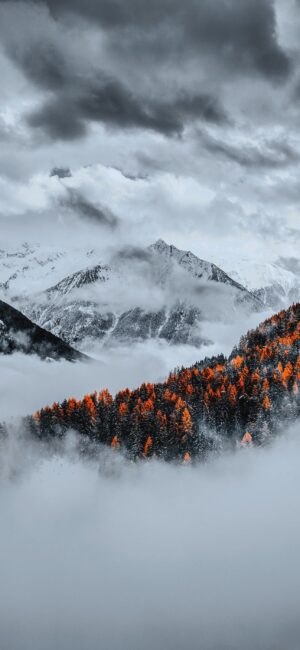 Snow-capped mountains shrouded in mist, vibrant orange forest contrast | 4K Wallpaper for Mobile