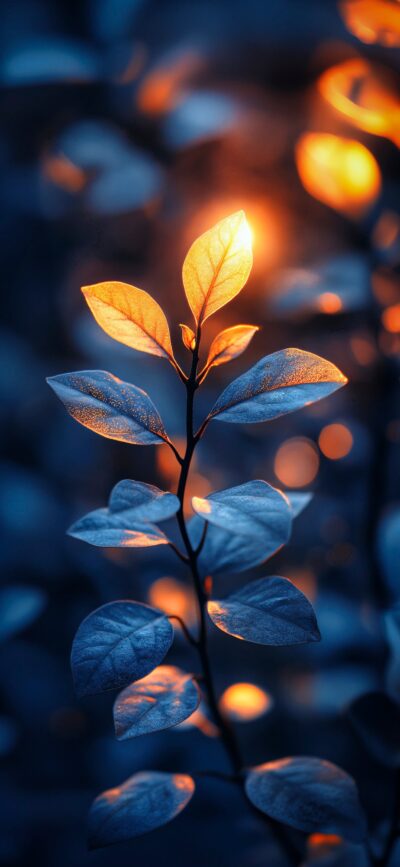 Close-up of a branch with glowing leaves, warm tones, cool blue background, bokeh effect, serene & mystical atmosphere | 4K Wallpaper for Mobile