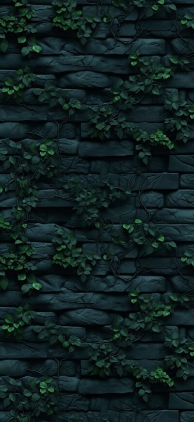 Dark brick wall intertwined with lush green ivy, showcasing a natural, mysterious aesthetic | 4K Wallpaper for Mobile