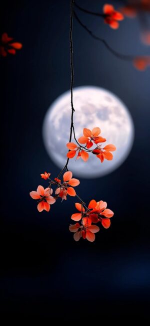 Cherry blossoms with full moon backdrop at night | 4K Wallpaper for Mobile | Red, Blue, White hues | Floral, Nature vibes