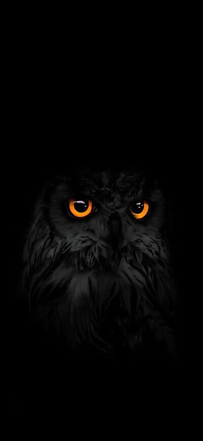 Owl with vivid orange eyes on a dark backdrop, mysterious black and gray details | 4K Wallpaper for Mobile