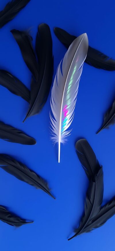 Iridescent feather with black feathers on blue background, creating vibrant contrast. Perfect for Mobile | 4K Wallpaper