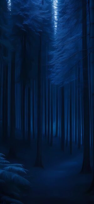 Mysterious night forest with tall trees casting shadows. Tranquil and mystical blue tones. | 4K Wallpaper for Mobile