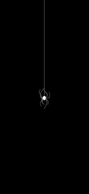 Minimalistic black background with a white spider on a thin web, striking contrast | 4K Wallpaper for Mobile