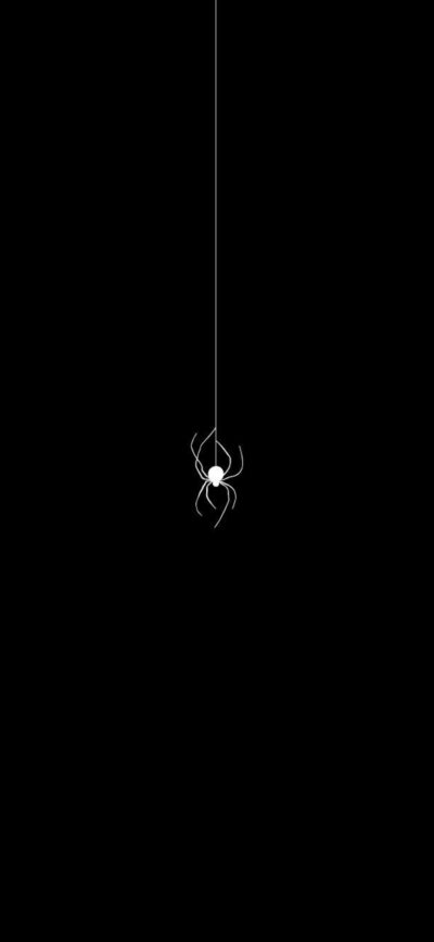 Minimalistic black background with a white spider on a thin web, striking contrast | 4K Wallpaper for Mobile