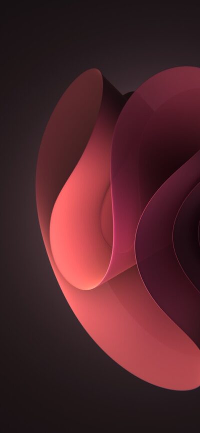 Abstract red and pink fluid shapes on dark background, resembling a floral design | 4K Wallpaper for Mobile