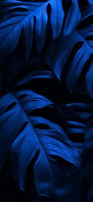 Dark tropical plant leaves in deep blue tones, creating a moody abstract aesthetic | 4K Wallpaper for Mobile | Blue, Black