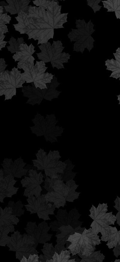 Dark maple leaves on a black background, minimalist elegance | 4K Wallpaper for Mobile