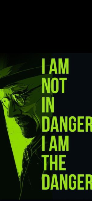 Stylized man with glasses, hat & "I AM NOT IN DANGER, I AM THE DANGER" quote | Black & Green | 4K Wallpaper for Mobile