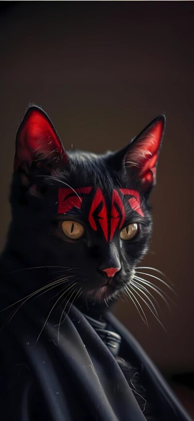 Black cat with Sith-inspired red markings, blending fantasy and mystery | 4K Wallpaper for Mobile | Black, red elements.