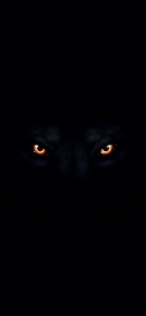 Mysterious glowing orange eyes in darkness, fantasy or animal theme | Black & Orange | 4K Wallpaper for Mobile