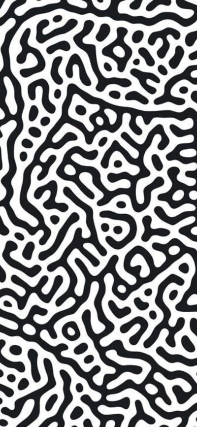 Abstract black and white maze pattern with intricate lines and shapes, creating a dynamic texture | 4K Wallpaper for Mobile