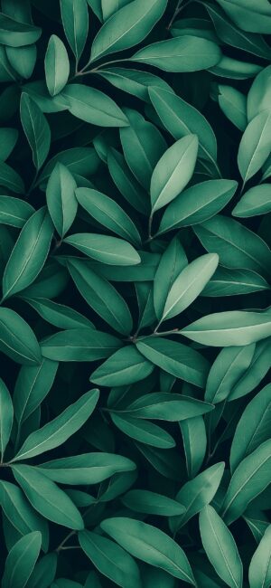 Dense green leaves pattern creating a serene nature-themed background | 4K Wallpaper for Mobile