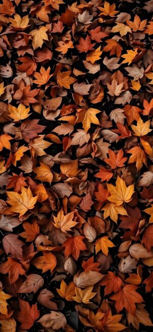 Autumn leaves in orange, yellow, and brown for a cozy fall vibe | 4K Wallpaper, for Mobile