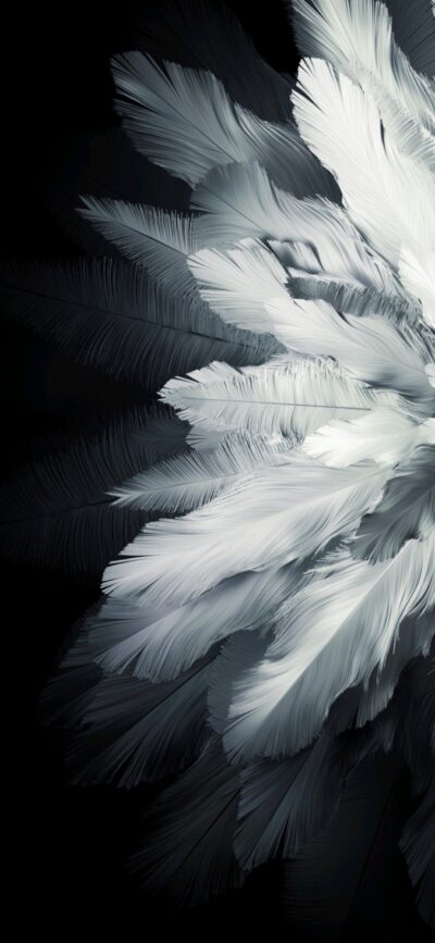 Abstract grayscale feathers with elegance on dark background, creating tranquility | 4K Wallpaper for Mobile