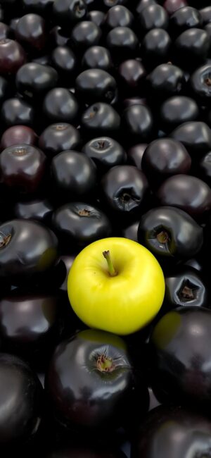 Bright yellow apple amidst black apples creating vivid contrast | 4K Wallpaper for Mobile | Yellow, Black, Contrast, Minimalism