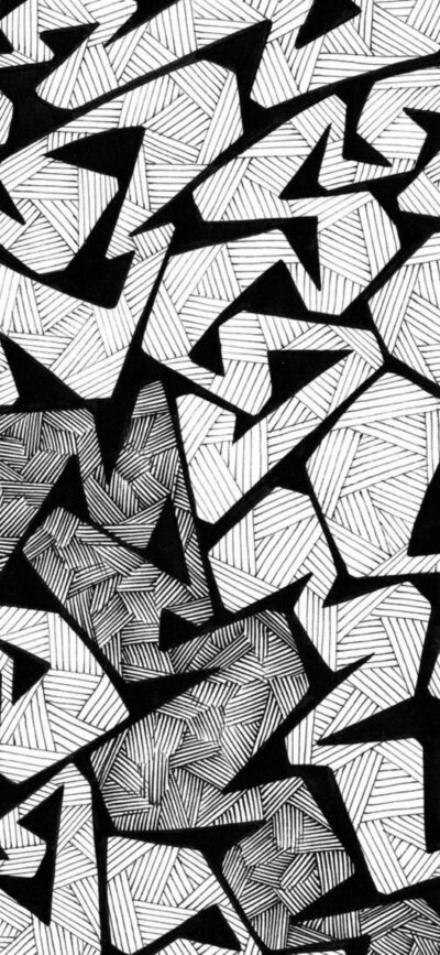 Black and white abstract geometric pattern with intricate line work | 4K Wallpaper for Mobile