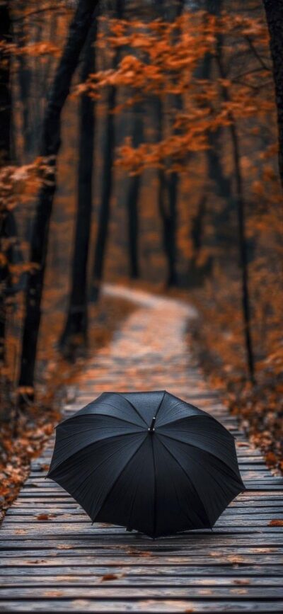 Serene forest pathway with orange autumn leaves and a black umbrella; evokes solitude. | 4K Wallpaper for Mobile