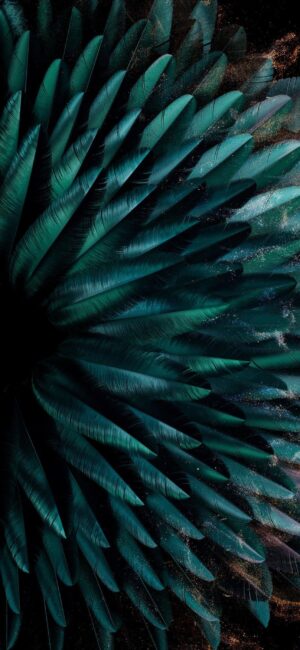 Abstract teal feather burst on dark background | 4K Wallpaper for Mobile | Dynamic, artistic pattern with natural depth and movement.