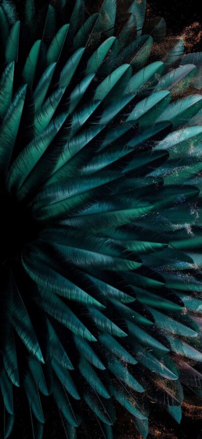 Abstract teal feather burst on dark background | 4K Wallpaper for Mobile | Dynamic, artistic pattern with natural depth and movement.