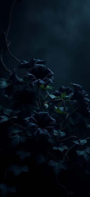 Blue and black flowers in a dark, shadowy background | 4K Wallpaper for Mobile