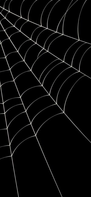 Black and white spider web pattern design for suspense and mystery | UHD Wallpaper, for Mobile