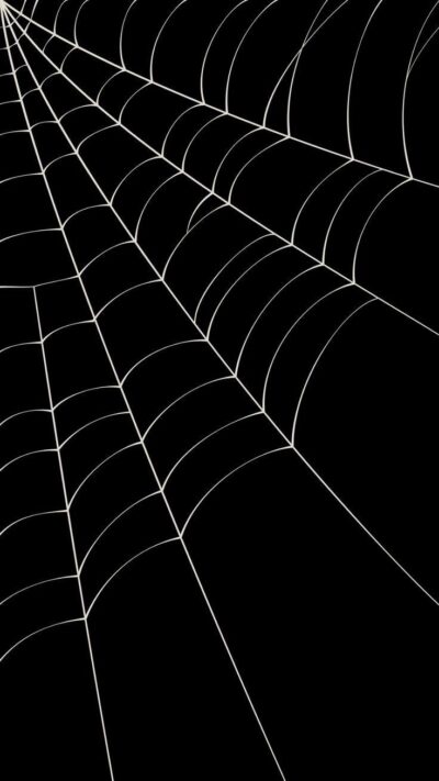 Black and white spider web pattern design for suspense and mystery | UHD Wallpaper, for Mobile
