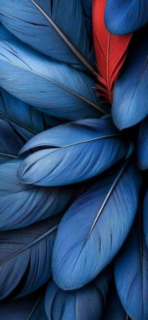 4K Mobile Wallpapers Free Download | 6065 | for Android & iPhone FF609
