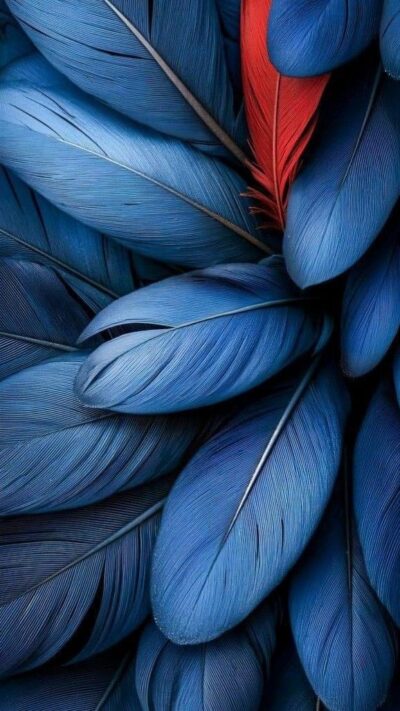4K Mobile Wallpapers Free Download | 6065 | for Android & iPhone FF609